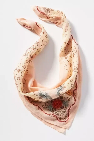 Chan Luu Embroidered Scarf In Pink