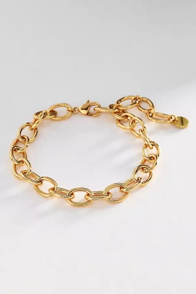 Chan Luu Large Chain Link Anklet In Gold