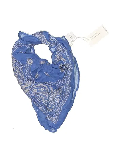 Pre-owned Chan Luu Scarf In Blue