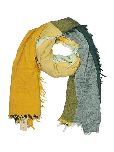 Pre-owned Chan Luu Scarf In Green