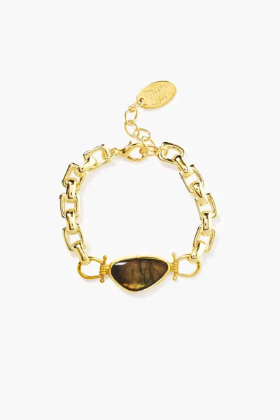 Chan Luu Women's Chain Link Bracelet In Labradorite In Multi