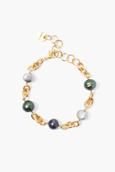 Chan Luu Women's Nautica Chain Bracelet In Peacock Mix In Multi
