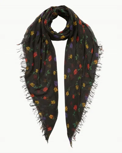 Chan Luu Women's Valentina Floral Scarf In Black