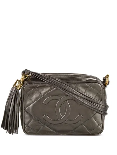 Pre-owned Chanel 1989-1991 Quilted Camera Bag In Grey