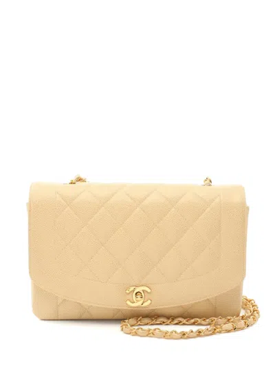 Pre-owned Chanel 1991-1994 Diana Shoulder Bag In Neutrals