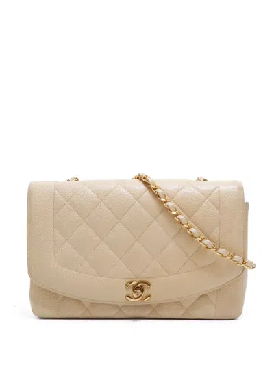 Pre-owned Chanel 1992-1994 Diana Shoulder Bag In Neutrals