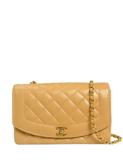Pre-owned Chanel 1992 Medium Diana Shoulder Bag In Neutrals