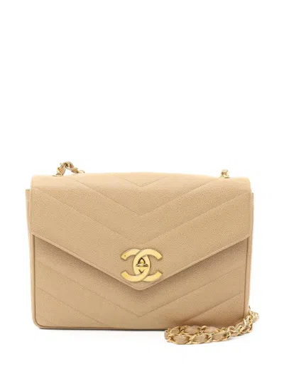 Pre-owned Chanel 1994-1996 V-stitch Shoulder Bag In Neutrals