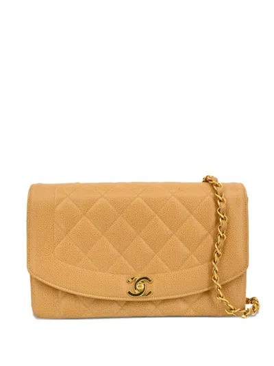 Pre-owned Chanel 1995 Medium Diana Shoulder Bag In Neutral