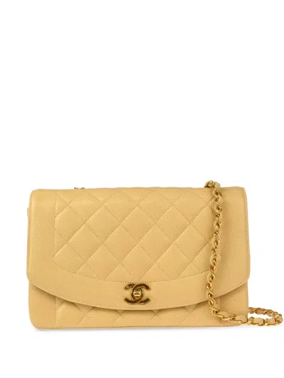 Pre-owned Chanel 1995 Medium Diana Shoulder Bag In Neutrals