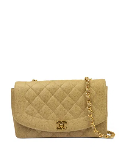 Pre-owned Chanel 1995 Medium Diana Shoulder Bag In Neutrals