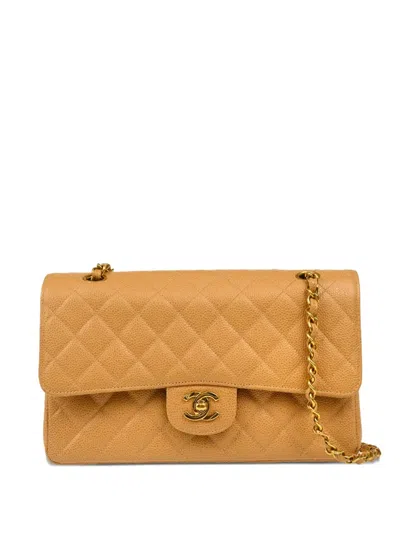 Pre-owned Chanel 1995 Medium Double Flap Leather Shoulder Bag In Neutral