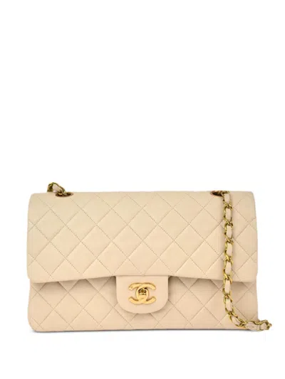 Pre-owned Chanel 1995 Medium Double Flap Shoulder Bag In Neutrals