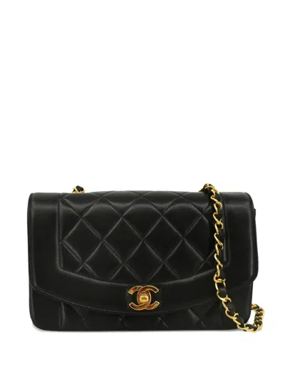 Pre-owned Chanel 1995 Small Diana Shoulder Bag