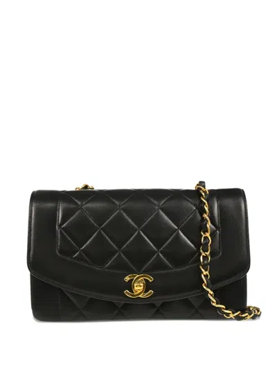 Pre-owned Chanel 1995 Small Diana Shoulder Bag