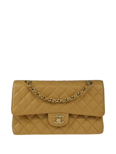 Pre-owned Chanel 2002-2003 Classic Double Flap Quilted Shoulder Bag In Neutral