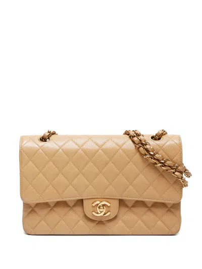 Pre-owned Chanel 2002-2003 Double Flap Shoulder Bag In Neutral