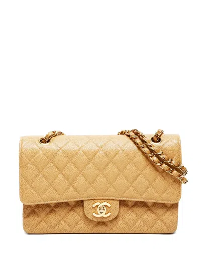 Pre-owned Chanel 2002-2003 Medium Classic Double Flap Shoulder Bag In Neutral