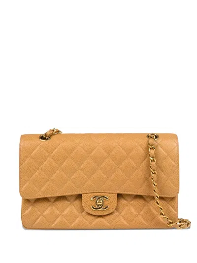Pre-owned Chanel 2002 Medium Classic Double Flap Shoulder Bag In Neutral