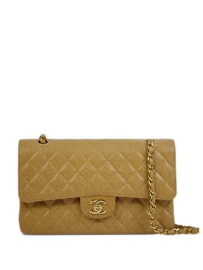 Pre-owned Chanel 2002 Medium Classic Double Flap Shoulder Bag In Neutrals