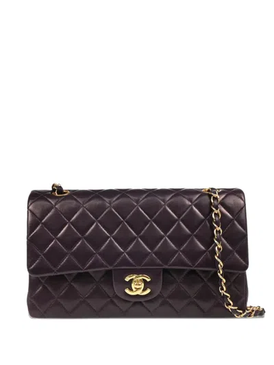 Pre-owned Chanel 2002 Medium Classic Double Flap Shoulder Bag In Purple