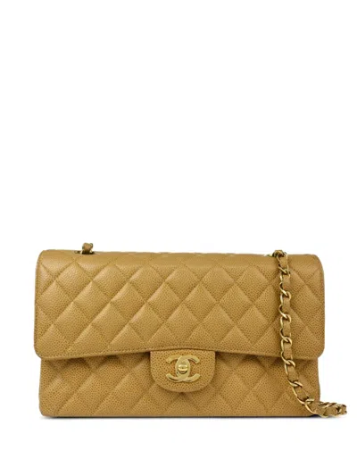 Pre-owned Chanel 2002 Medium Double Flap Shoulder Bag In Neutrals