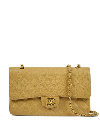 Pre-owned Chanel 2002 Medium Double Flap Shoulder Bag In Neutrals