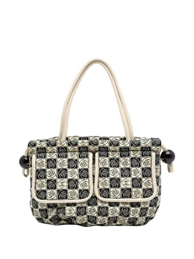 Pre-owned Chanel 2003-2004 Camellia Canvas Coco Ball Tote Bag In Brown