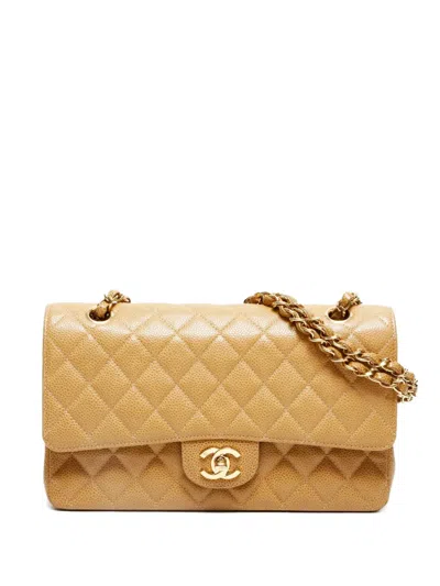 Pre-owned Chanel 2003-2004 Classic Double Flap Quilted-chain Shoulder Bag In Neutral