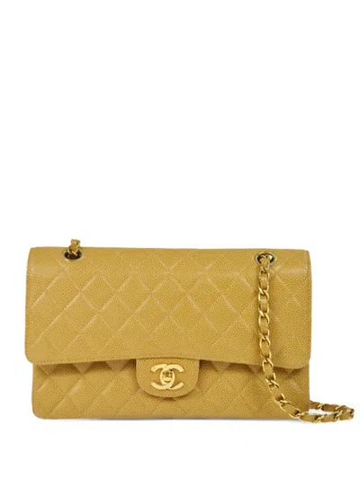 Pre-owned Chanel 2003 Medium Double Flap Shoulder Bag In Neutrals