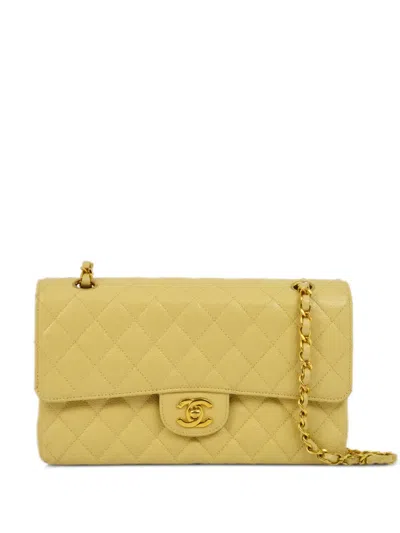 Pre-owned Chanel 2005 Medium Double Flap Shoulder Bag In Neutrals