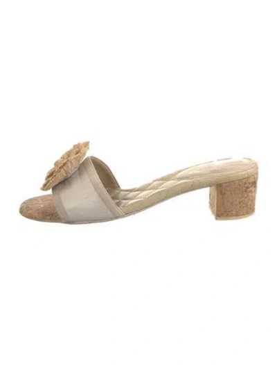 Pre-owned Chanel 2010 Interlocking Cc Logo Slides In Neutral