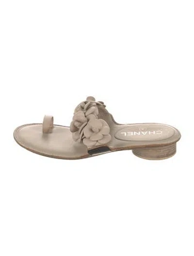 Pre-owned Chanel 2014 Interlocking Cc Logo Slides In Neutral