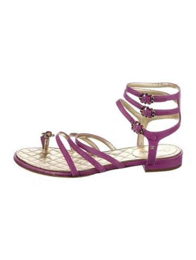 Pre-owned Chanel 2015 Interlocking Cc Logo Gladiator Sandals In Purple