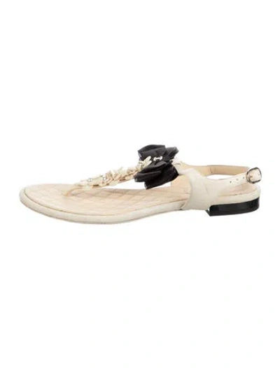 Pre-owned Chanel 2017 Interlocking Cc Logo Espadrilles In Neutral