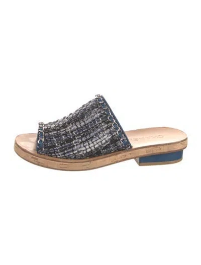 Pre-owned Chanel 2017 Interlocking Cc Logo Slides In Blue