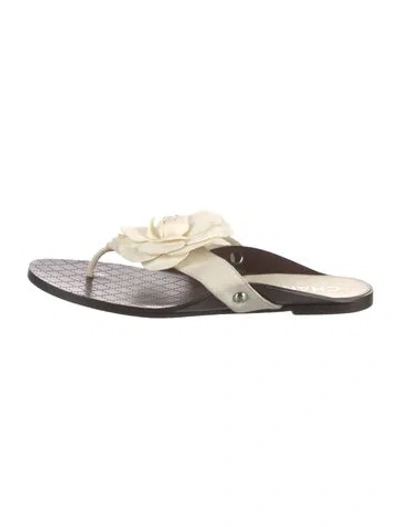 Pre-owned Chanel 2018 Interlocking Cc Logo Flip Flops In White
