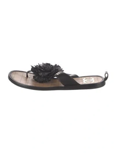 Pre-owned Chanel 2019 Interlocking Cc Logo Flip Flops In Black