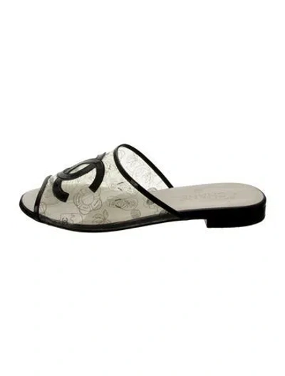 Pre-owned Chanel 2019 Interlocking Cc Logo Slides In Multi