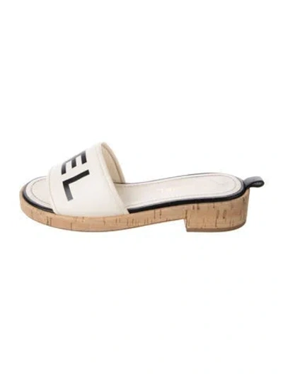 Pre-owned Chanel 2019 Interlocking Cc Logo Slides In Neutrals
