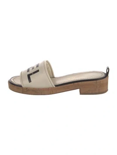 Pre-owned Chanel 2019 Leather Slides In Black/neutrals