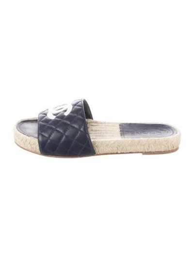 Pre-owned Chanel 2020 Interlocking Cc Logo Espadrilles In Blue