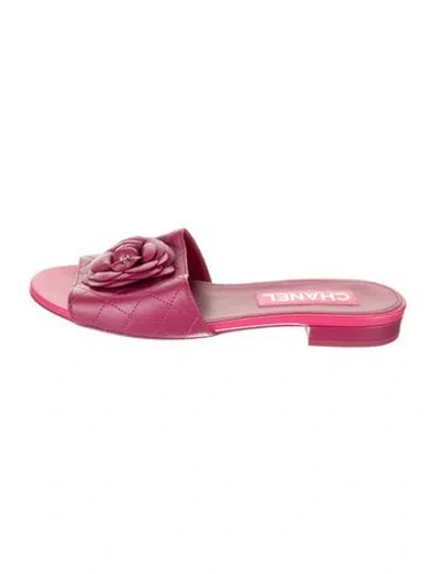 Pre-owned Chanel 2021 Interlocking Cc Logo Slides In Pink