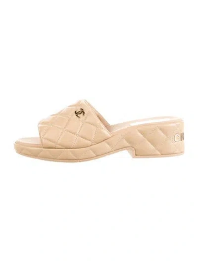 Pre-owned Chanel 2023 Interlocking Cc Logo Slides In Gold/neutrals