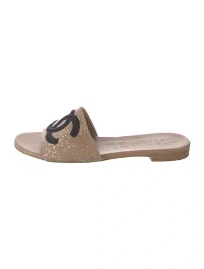 Pre-owned Chanel 2023 Interlocking Cc Logo Slides In Neutrals