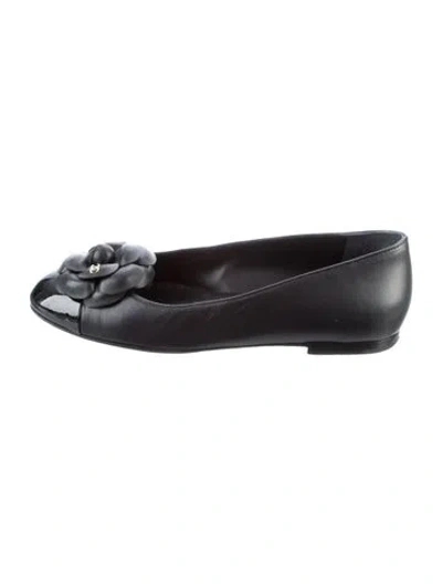 Pre-owned Chanel 2024 Interlocking Cc Logo Ballet Flats In Blue