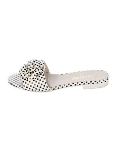 Pre-owned Chanel 2024 Interlocking Cc Logo Slides In Multi