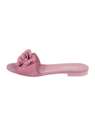 Pre-owned Chanel 2024 Interlocking Cc Logo Slides In Pink