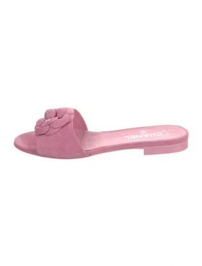 Pre-owned Chanel 2024 Interlocking Cc Logo Slides W/ Tags In Pink