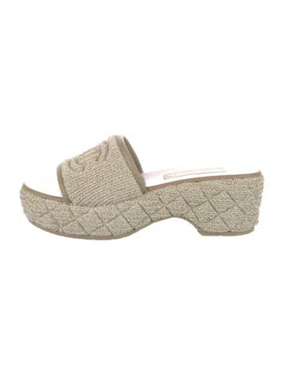 Pre-owned Chanel 2025 Interlocking Cc Logo Espadrilles In Neutral